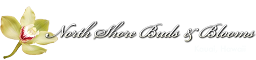 North Shore Buds & Blooms logo