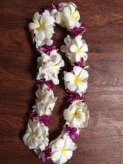 Double orchid and plumeria