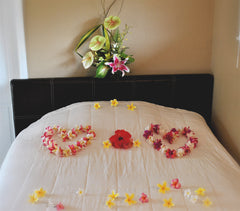 Room set up