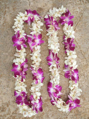 Double Orchid
