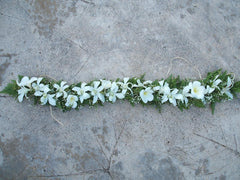 Haku 5