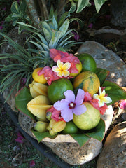 Tropical fruit basket