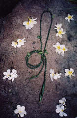 Ti leaf