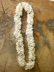 double stephanotis lei